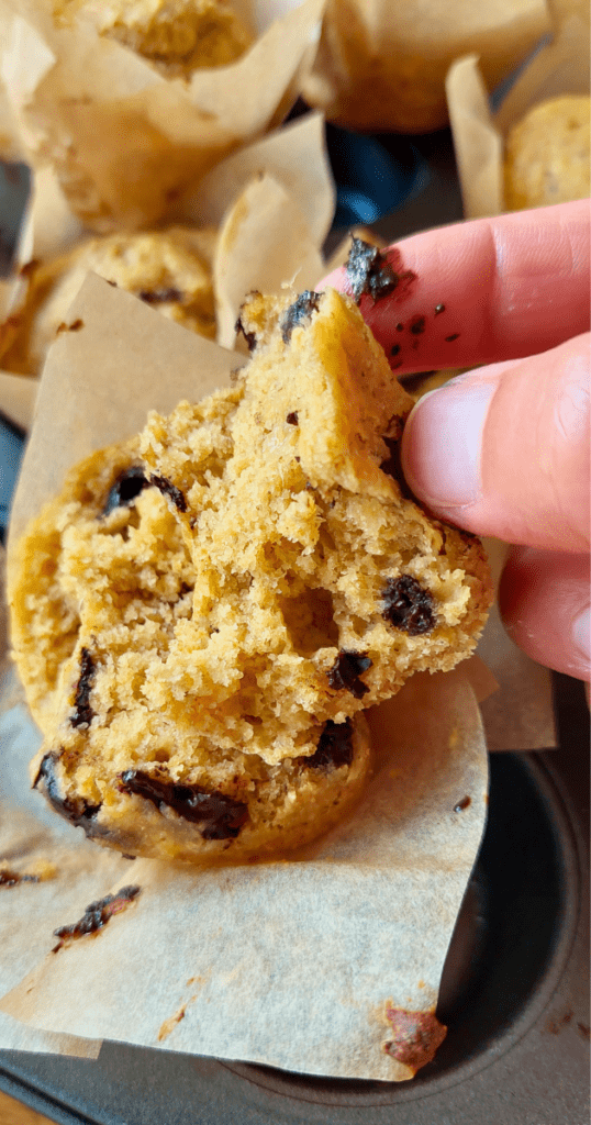 Interior humido e fofo Muffins Saudáveis de Laranja e Pepitas de Chocolate