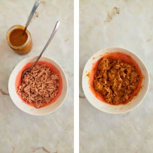 Juntar molho de tomate com atum